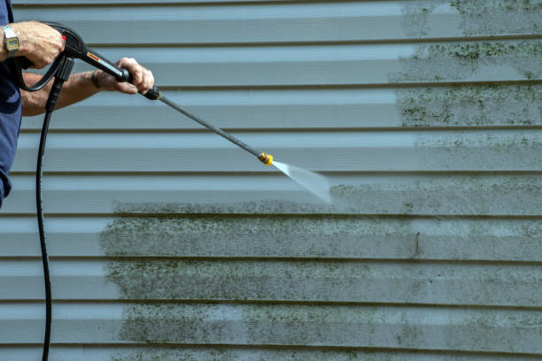 Best Roof Pressure Washing  in Pinson, AL